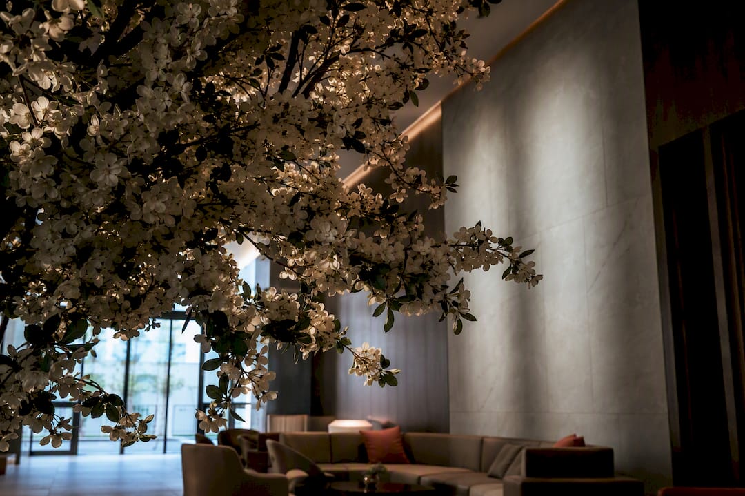 Üppige Baumkrone in einer stilvollen Hotellobby