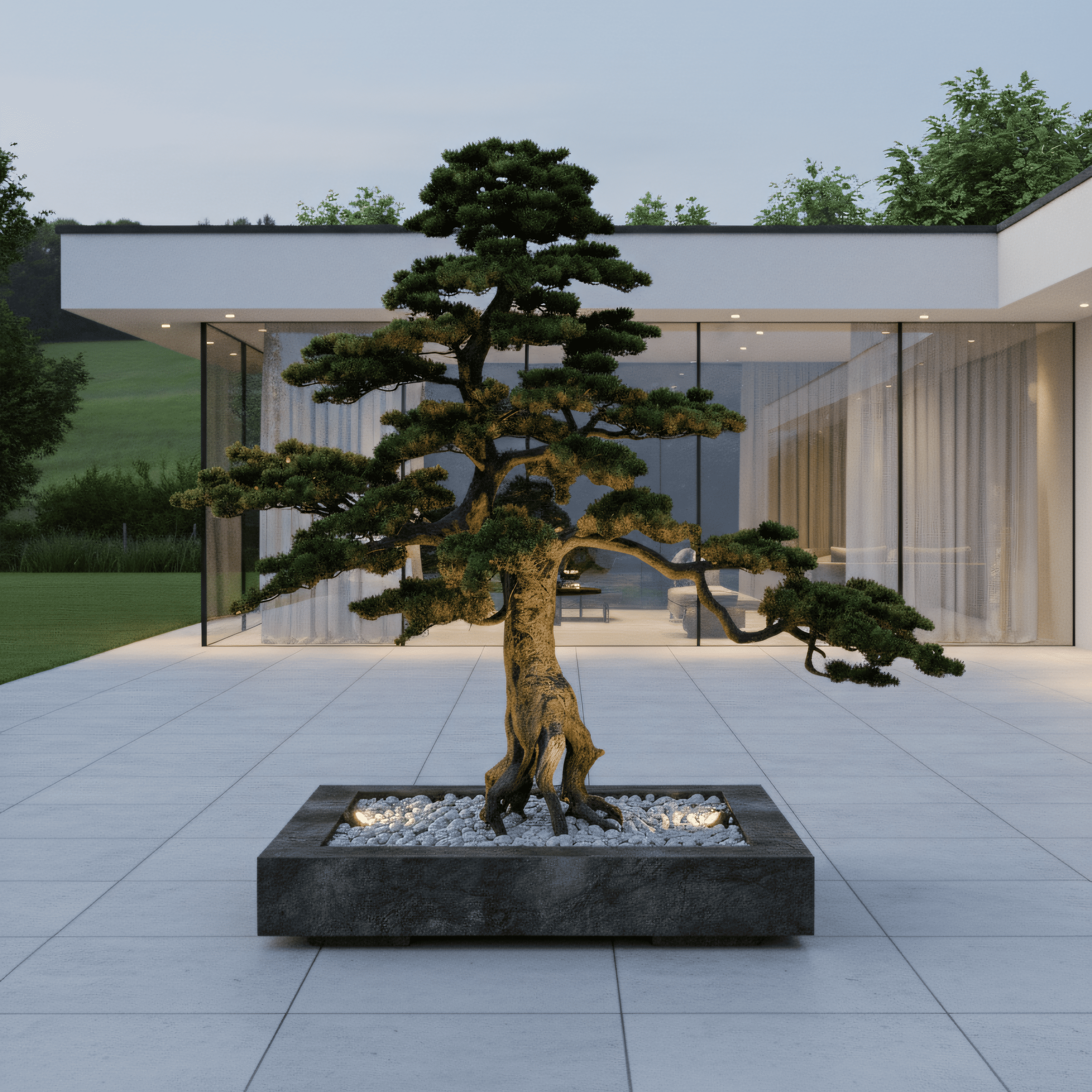 Arashi no Ki Outdoor