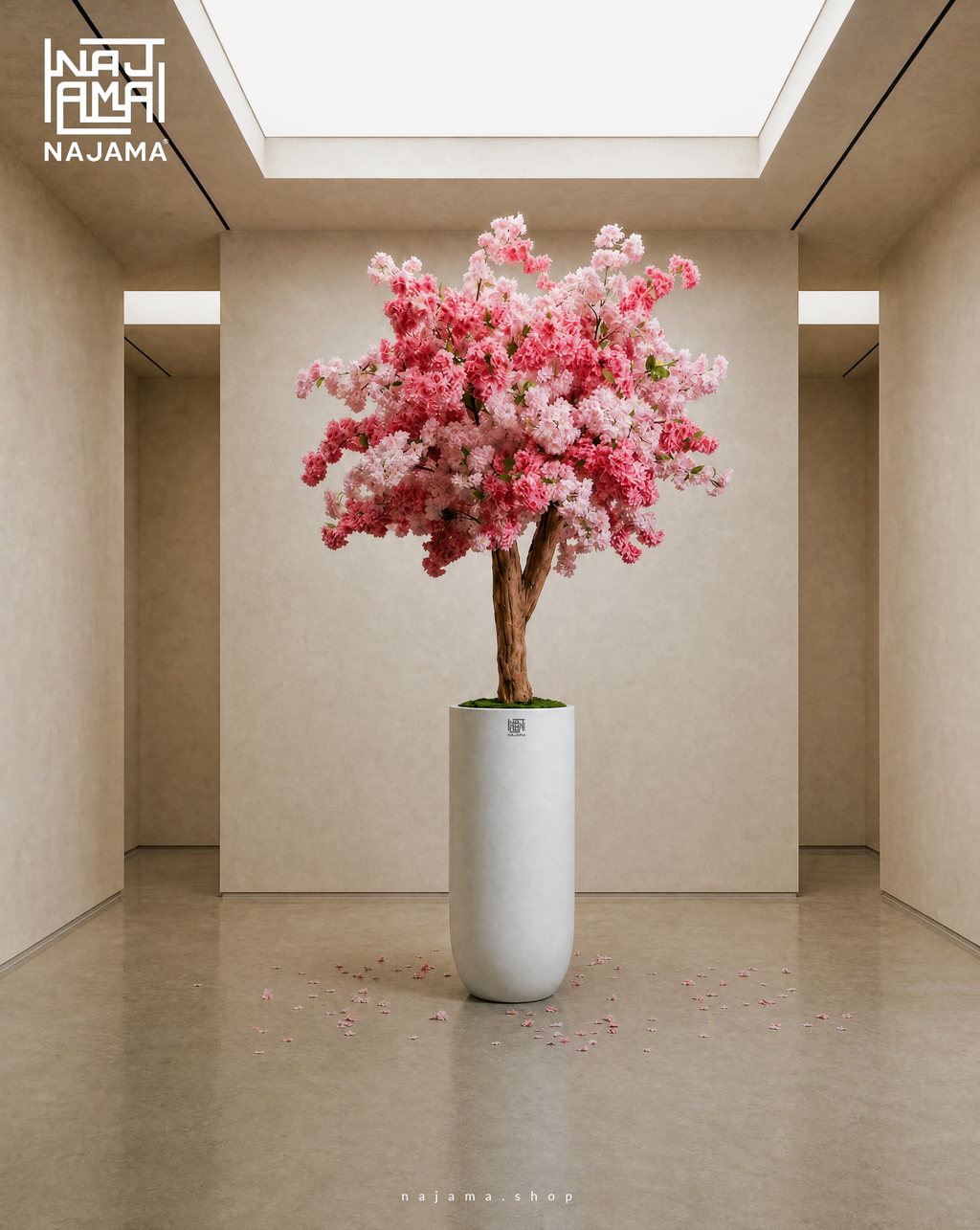 Cherry blossom tree