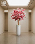 Cherry blossom tree