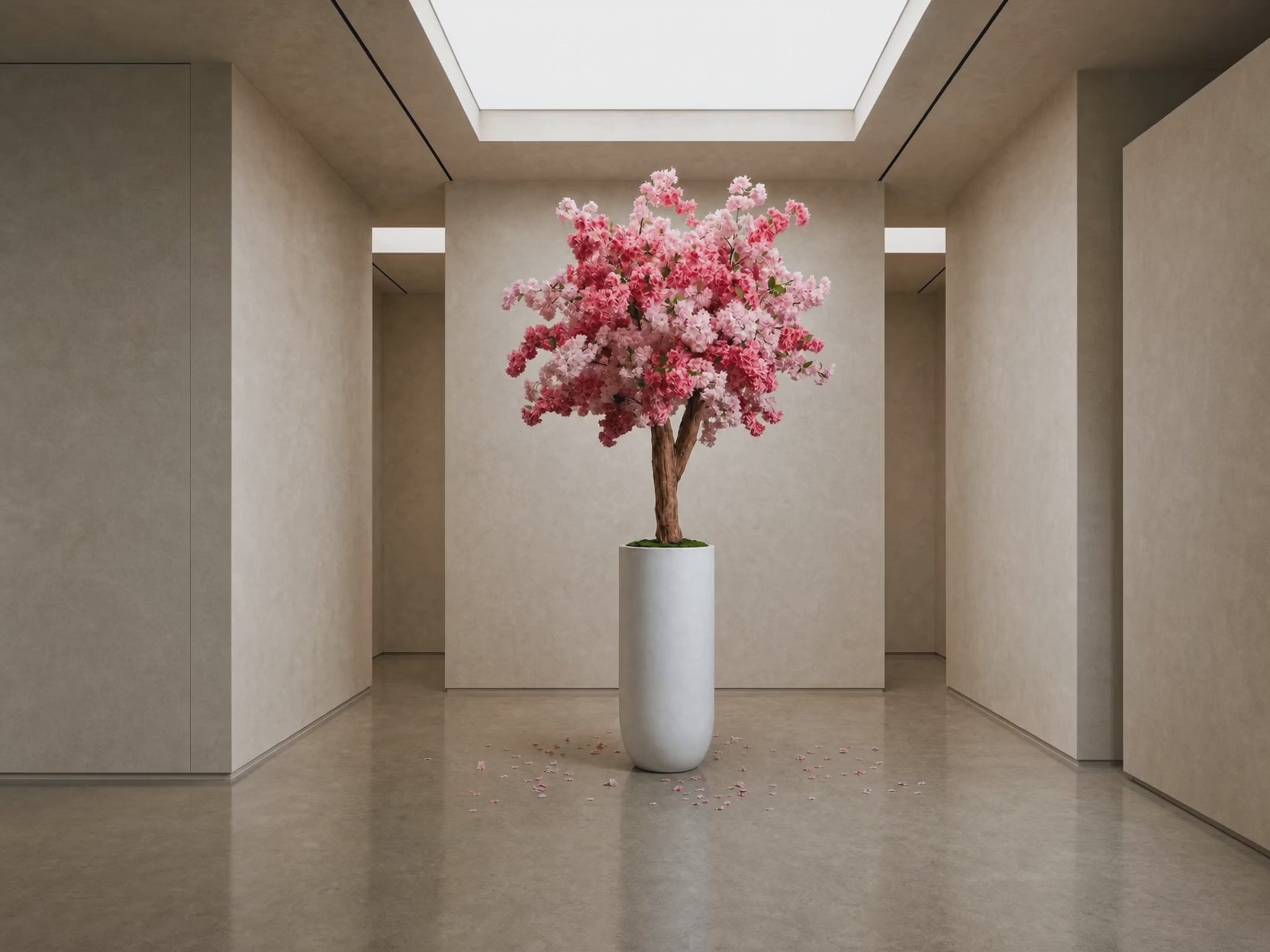 Cherry blossom tree